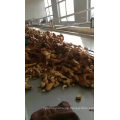 Chinese Shandong Fresh Ginger 2017 the Newest Crop